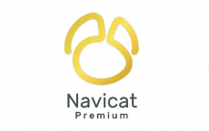 [阿里云盘]Navicat Premium(数据库管理) v16.3.5 特别版 [免费下载][夸克网盘][电脑软件]